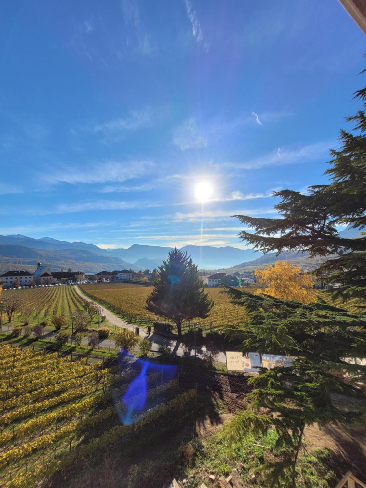 Castel Sallegg Suites Adults Only Caldaro Eksteriør bilde