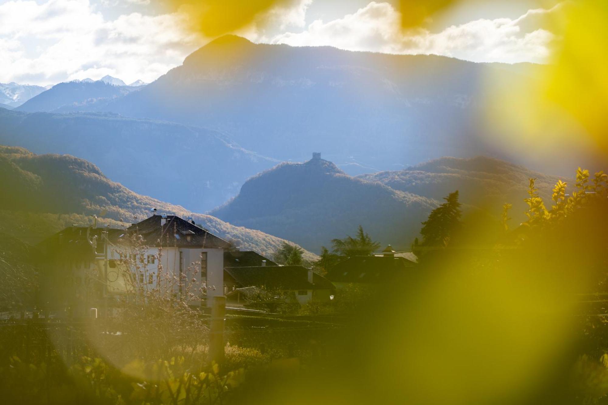 Castel Sallegg Suites Adults Only Caldaro Eksteriør bilde